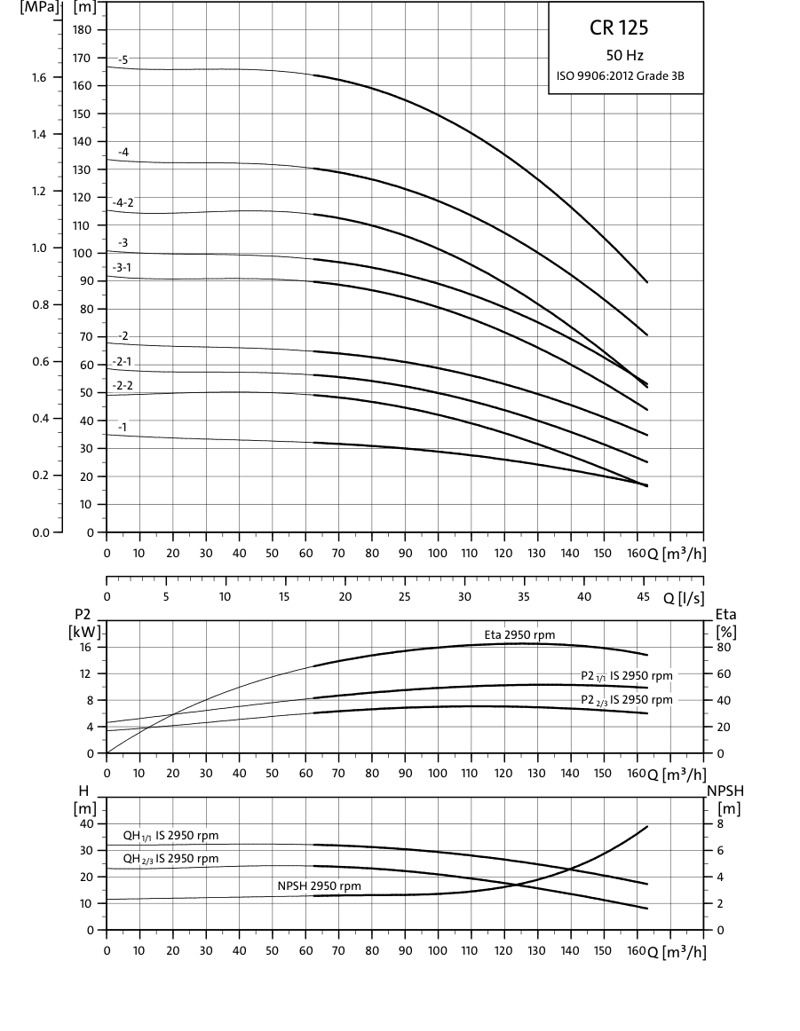 SINES Export - Grundfos CR 125 - performance curves 50 Hz
