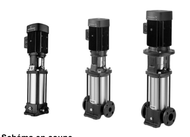 SINES - surface pumps - Grundfos Cr 1s