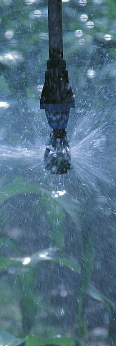 SINES - drip emitter watering a plant