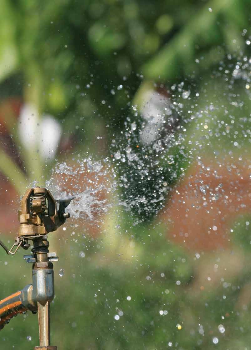 SINES - impact sprinkler irrigating a field