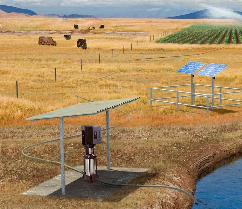 SINES - solar pumping station watering livestock
